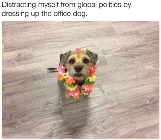 圖片14 圖片14