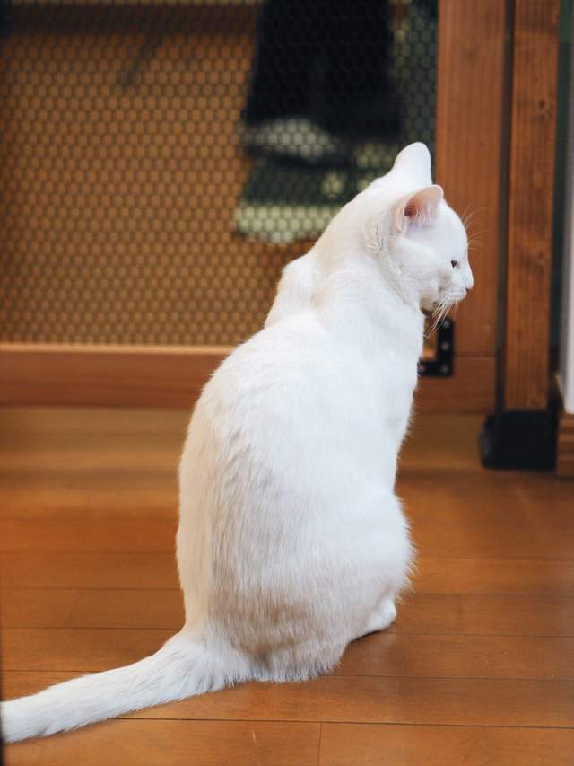 圖片5 圖片5