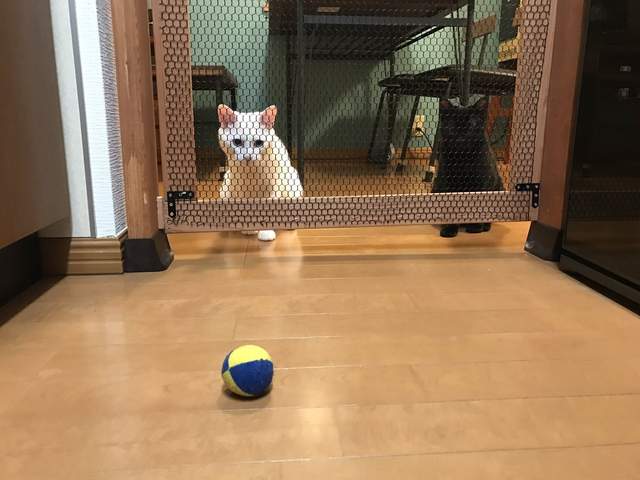 圖片7 圖片7