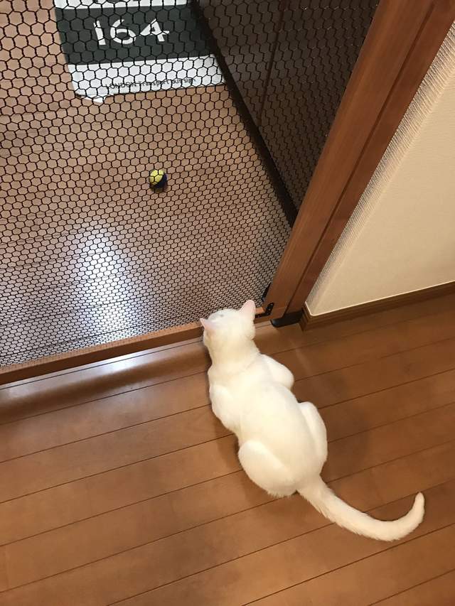 圖片6 圖片6