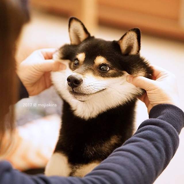 圖片4 圖片4