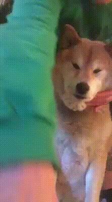 圖片6 圖片6