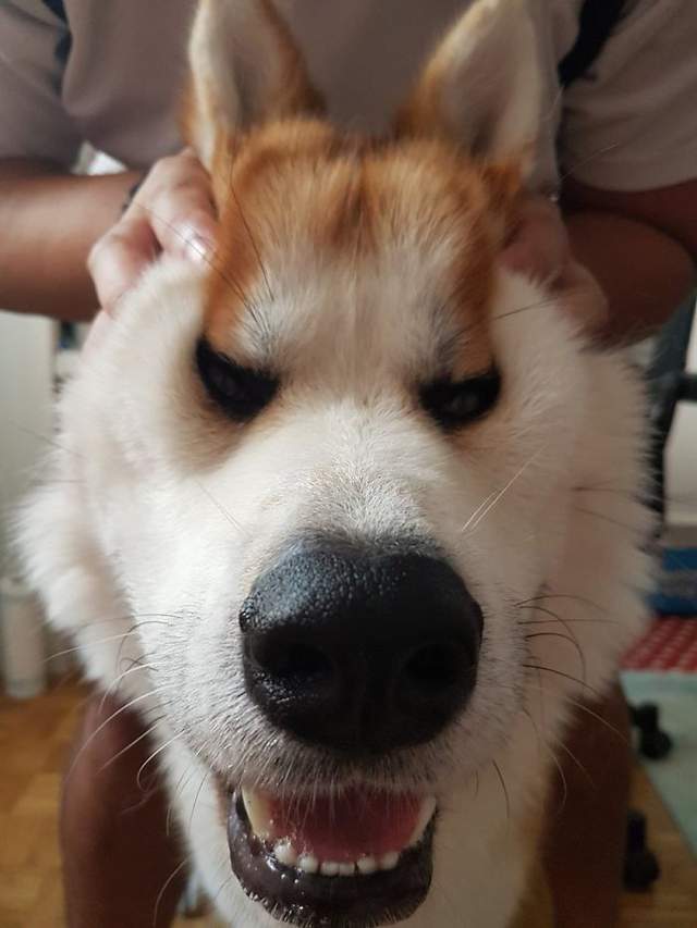圖片11 圖片11