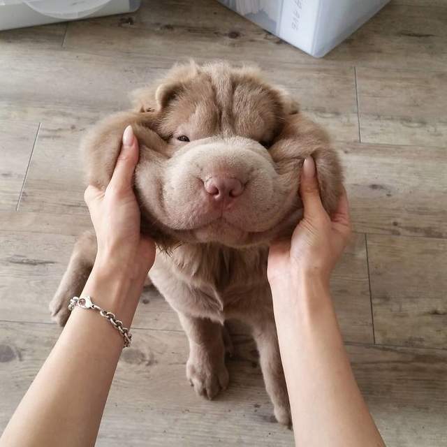 圖片9 圖片9