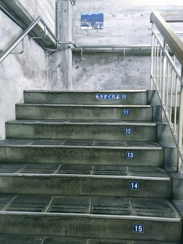 圖片5 圖片5