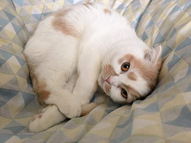 圖片4 圖片4