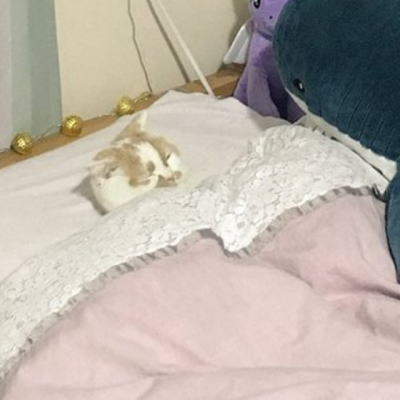 圖片6 圖片6