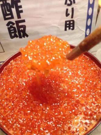 圖片8 圖片8