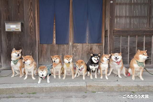 圖片5 圖片5