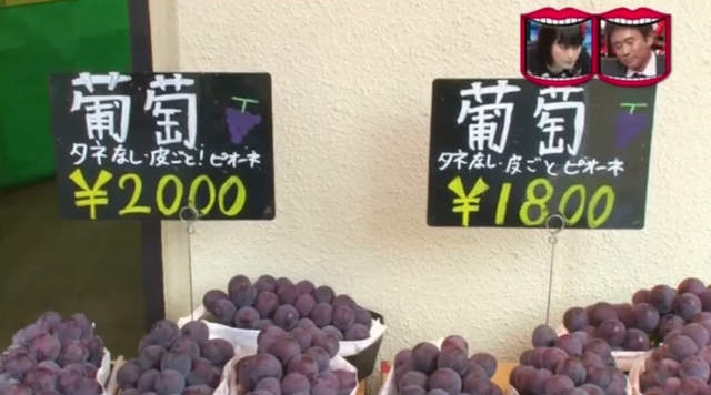 圖片11 圖片11