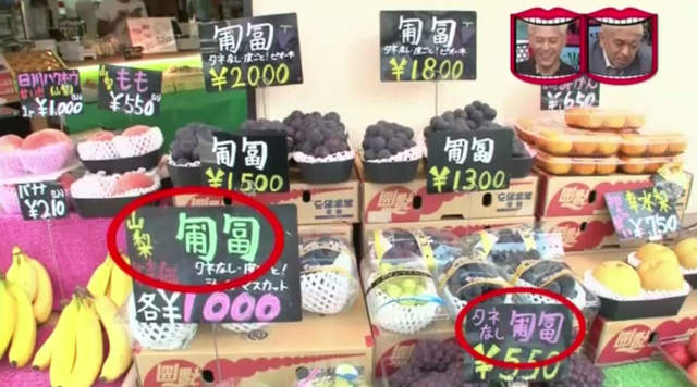 圖片13 圖片13