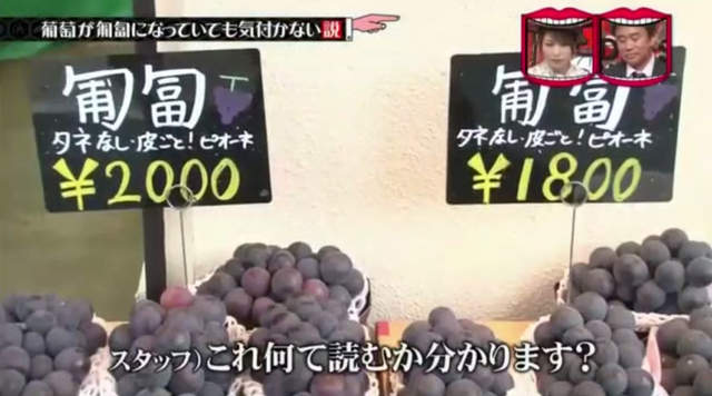 圖片19 圖片19