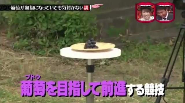 圖片25 圖片25