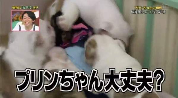 圖片5 圖片5