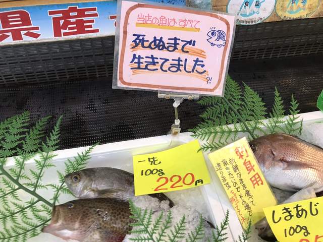 圖片6 圖片6