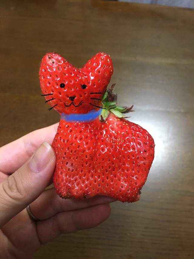 圖片4 圖片4