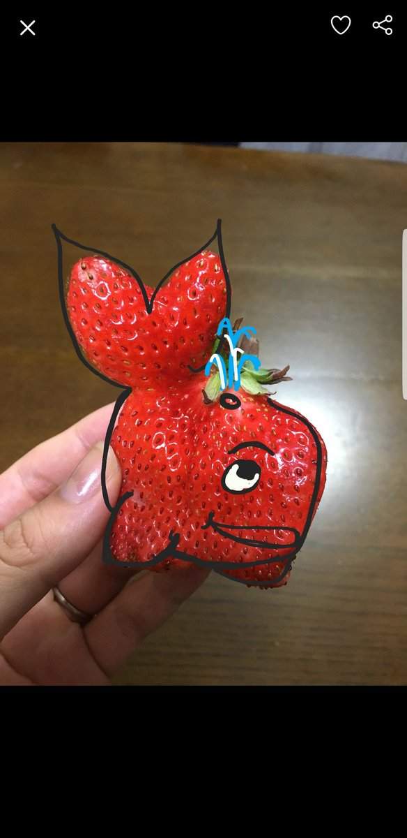 圖片9 圖片9