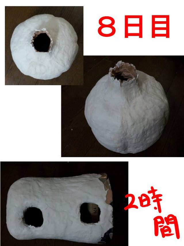 圖片5 圖片5