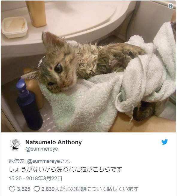 圖片4 圖片4