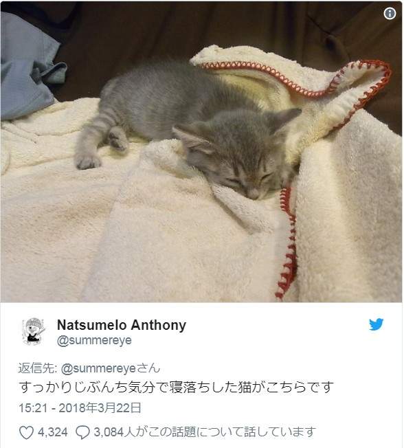 圖片5 圖片5