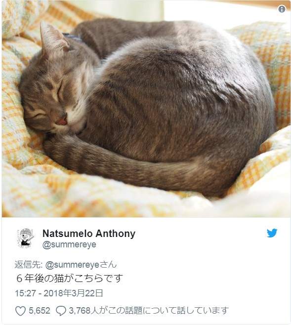 圖片6 圖片6