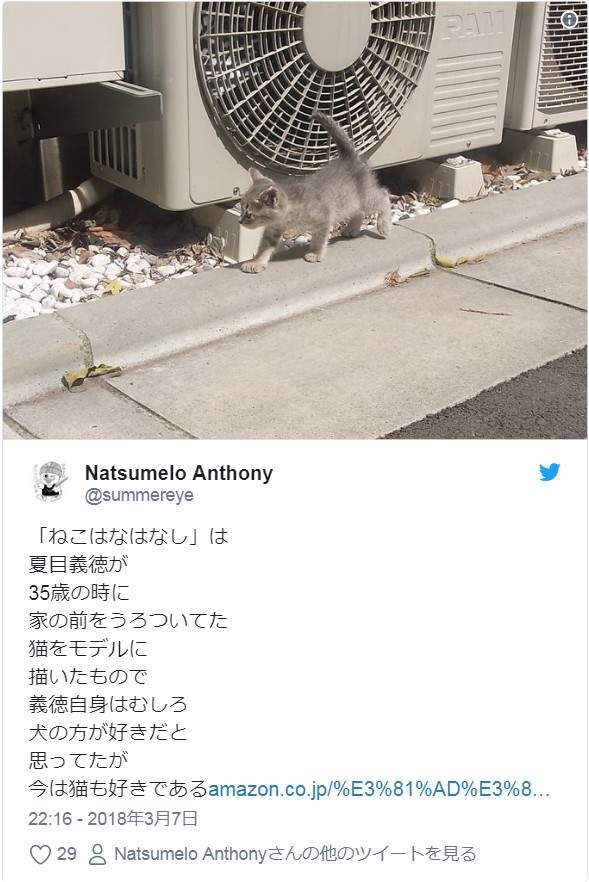 圖片7 圖片7