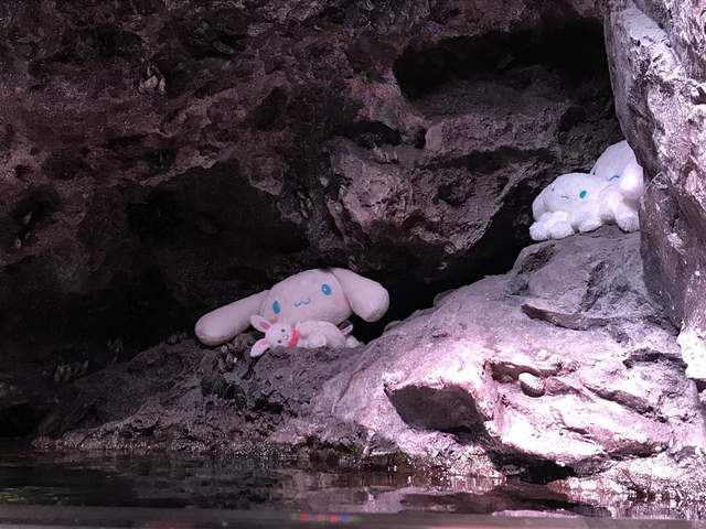 圖片7 圖片7