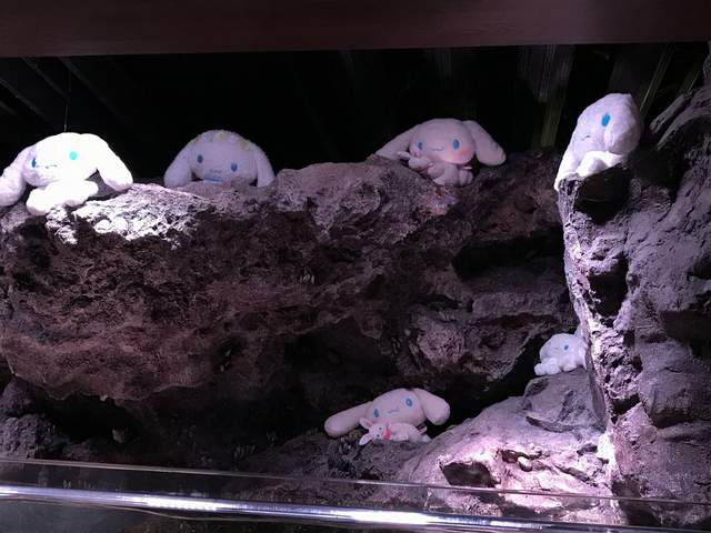 圖片8 圖片8