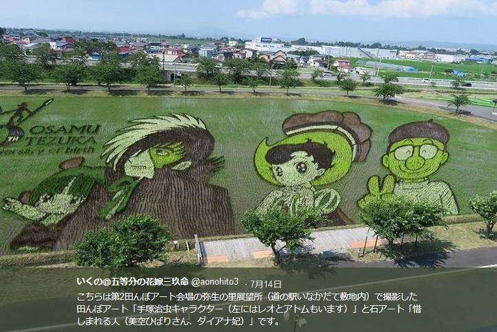 圖片6 圖片6