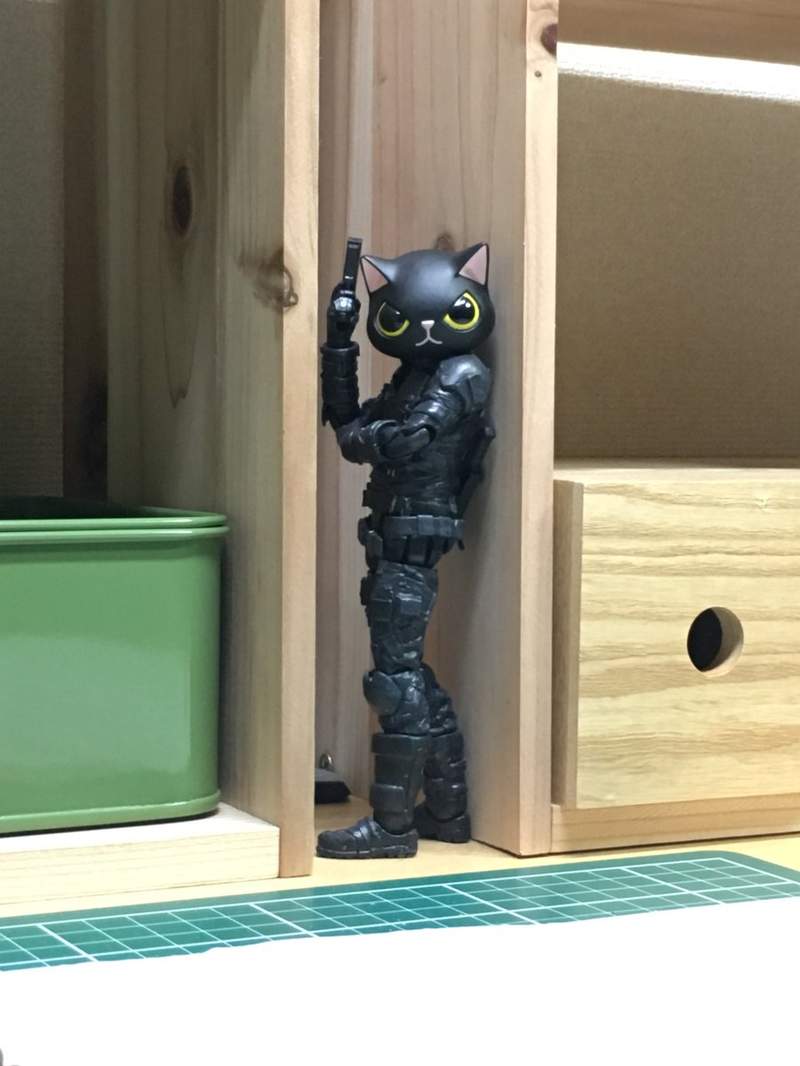 圖片19 圖片19