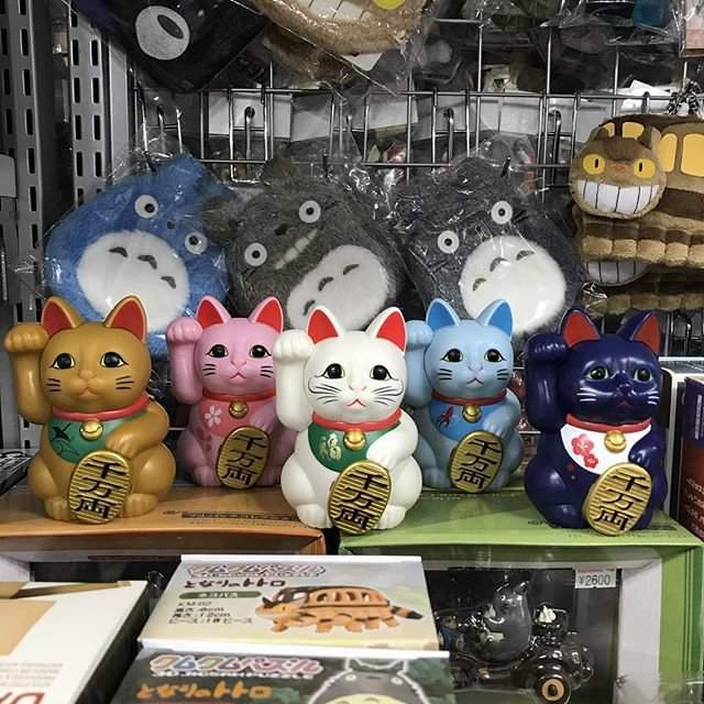 圖片28 圖片28