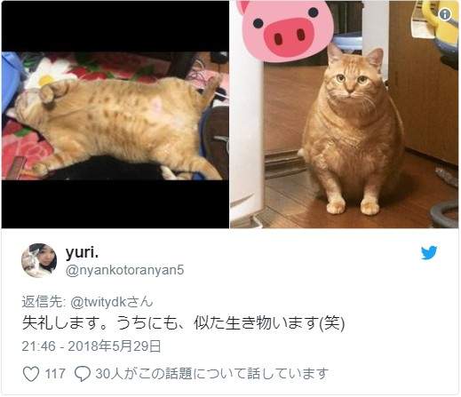 圖片4 圖片4