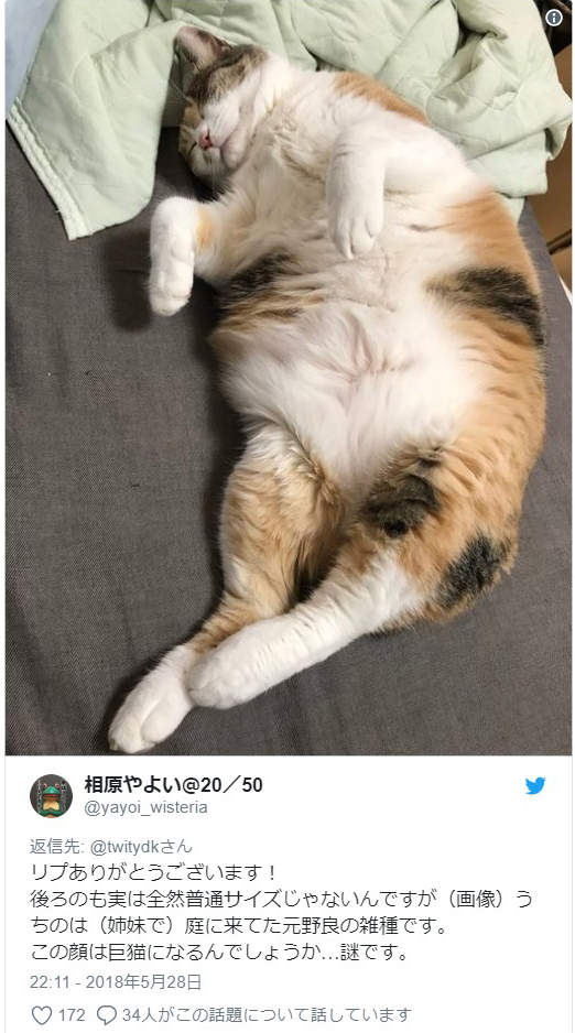 圖片5 圖片5