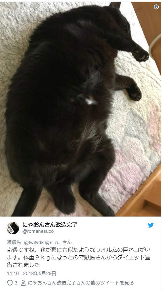 圖片7 圖片7