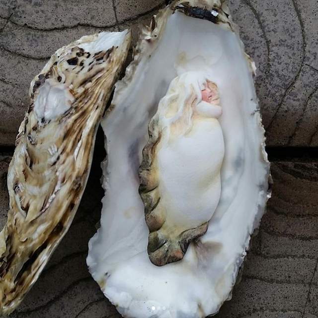 圖片6 圖片6