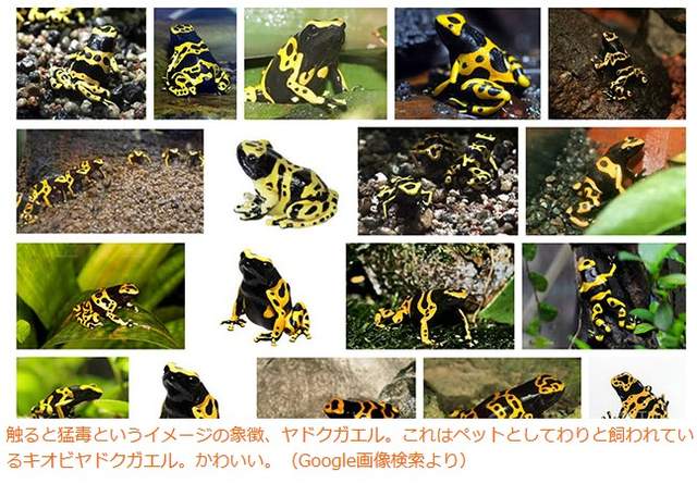 圖片5 圖片5