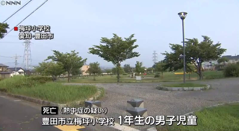 圖片6 圖片6