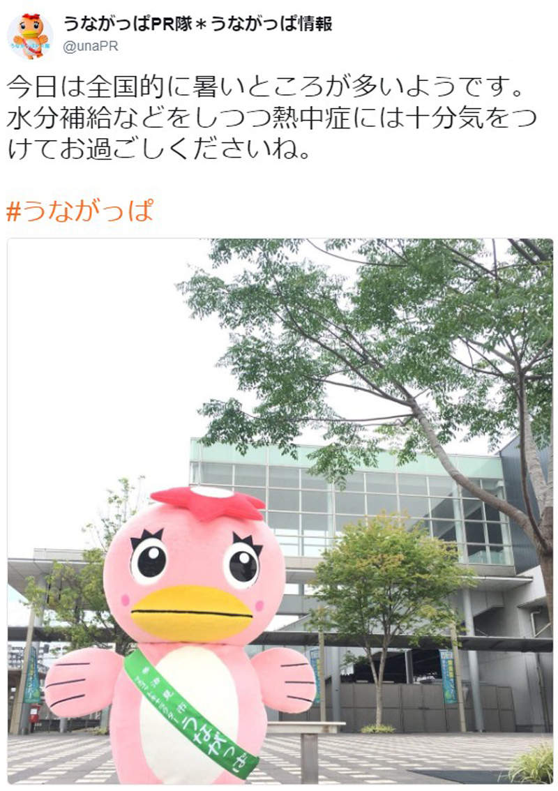 圖片9 圖片9