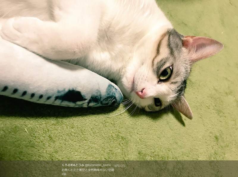 圖片4 圖片4