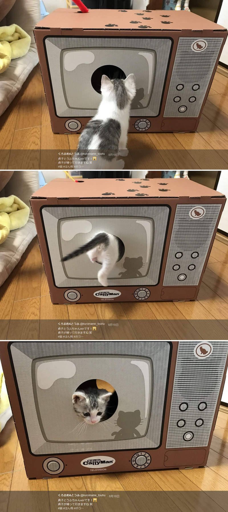 圖片8 圖片8