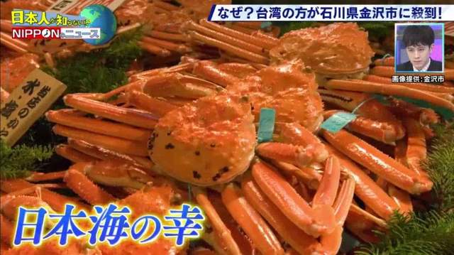 圖片6 圖片6
