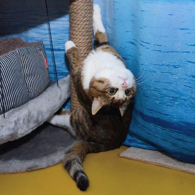圖片13 圖片13