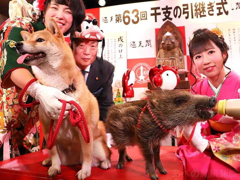 圖片4 圖片4