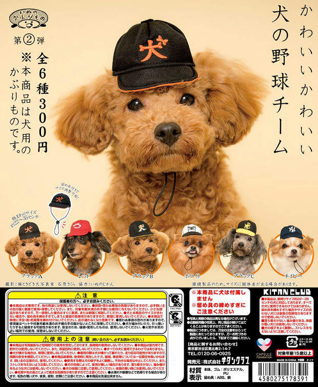 圖片5 圖片5