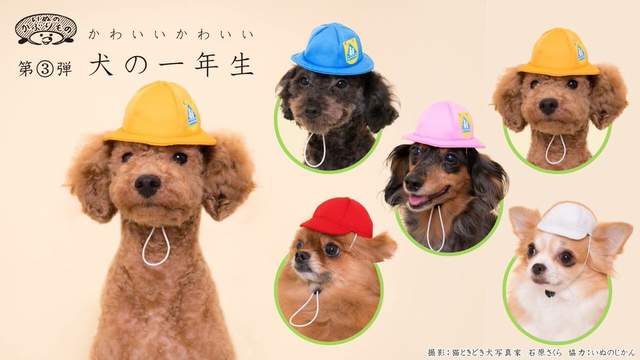 圖片8 圖片8
