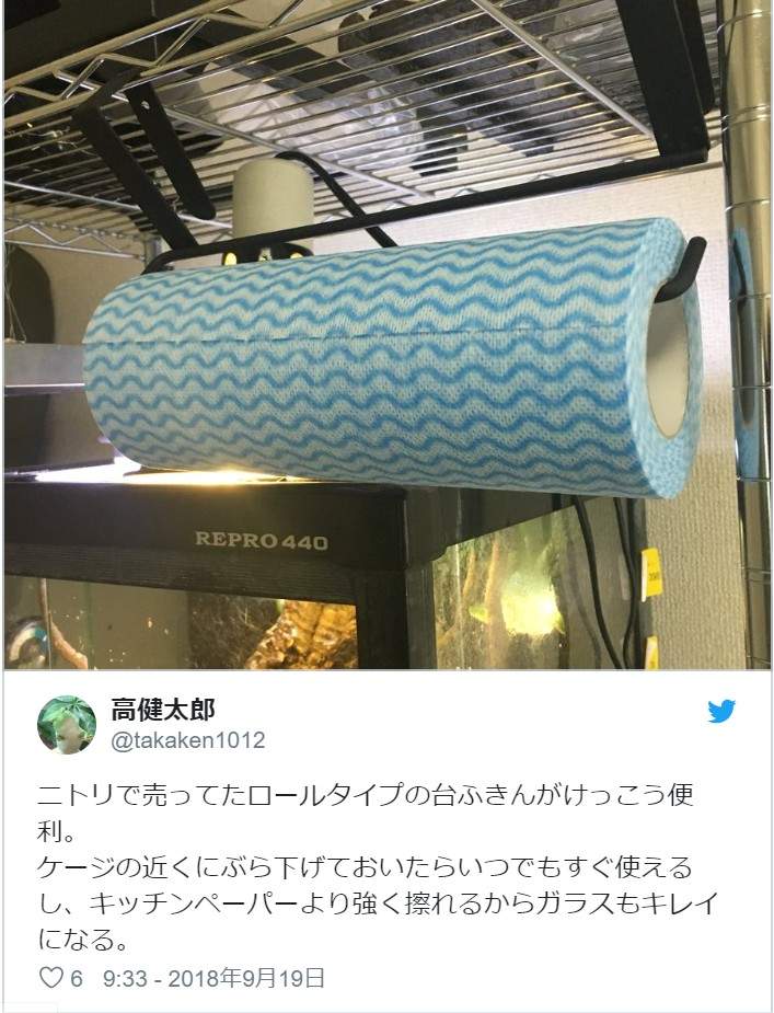 圖片10 圖片10