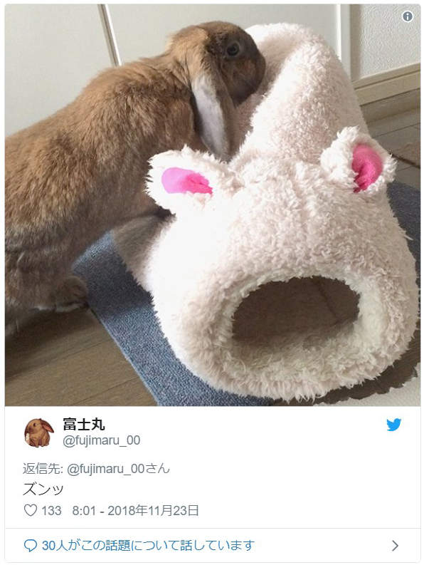 圖片8 圖片8
