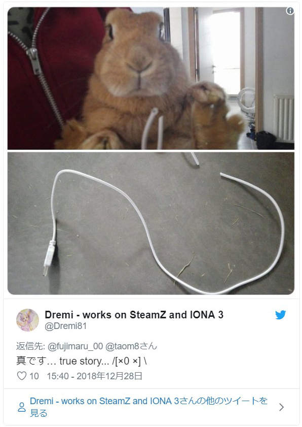 圖片5 圖片5