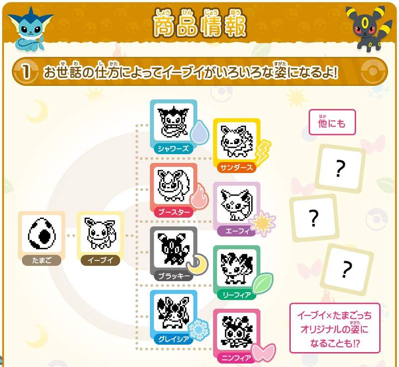 圖片6 圖片6