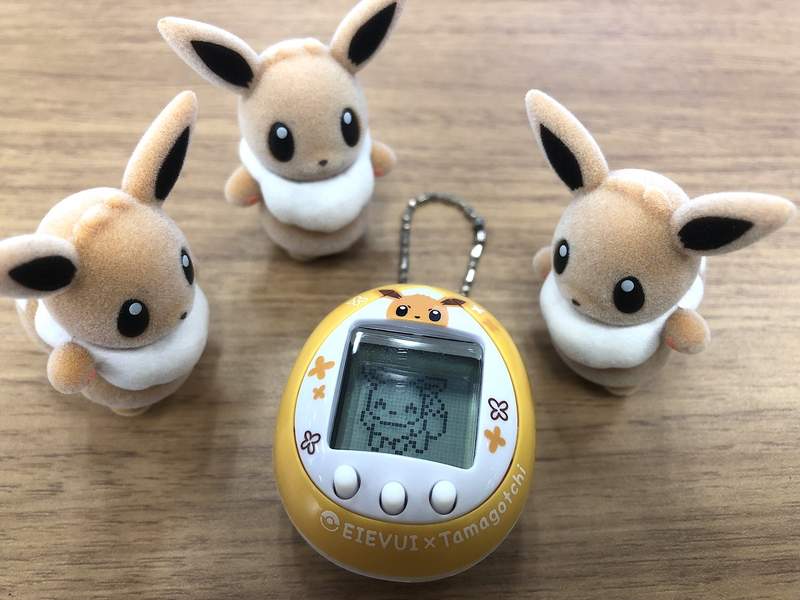 圖片8 圖片8
